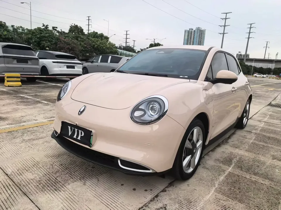 ORA Euler good cat Euler good cat 2023 401km standard endurance luxury lithium iron phosphate 2024 — photo 1, buy with delivery to Moscow