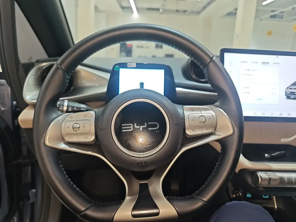 BYD Dolphin dolphin 2025 420KM Free Edition 2025 — thumbnail 4