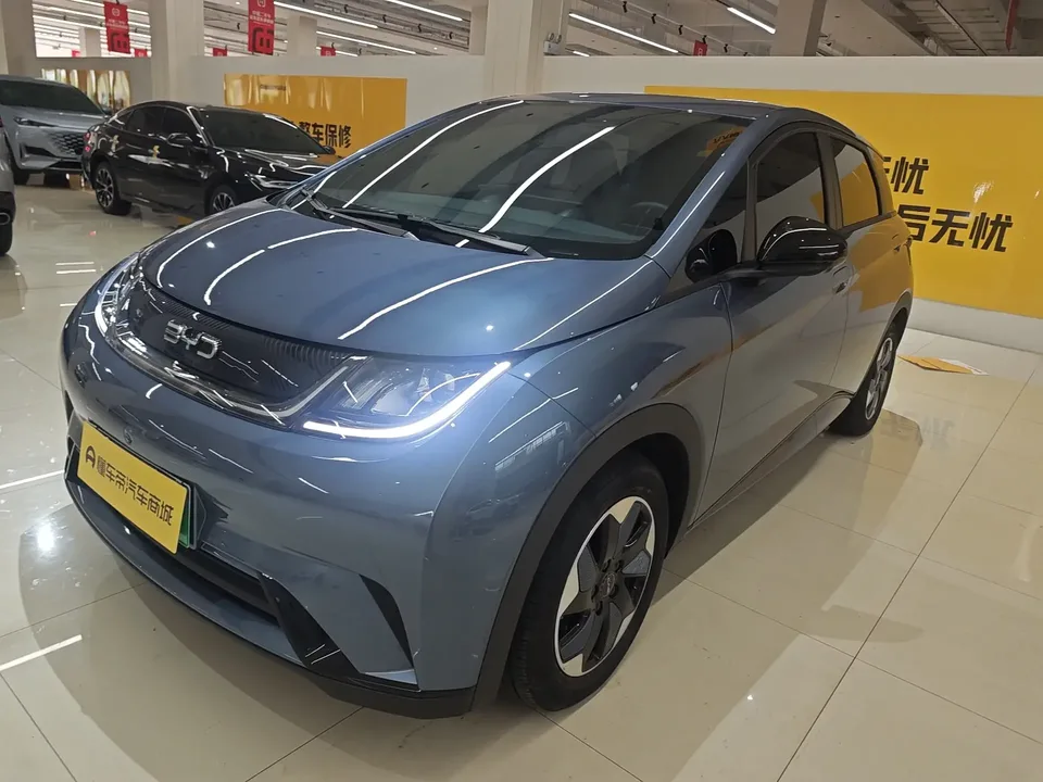 BYD Dolphin dolphin 2025 420KM Free Edition 2025 — photo 1, buy with delivery to Moscow