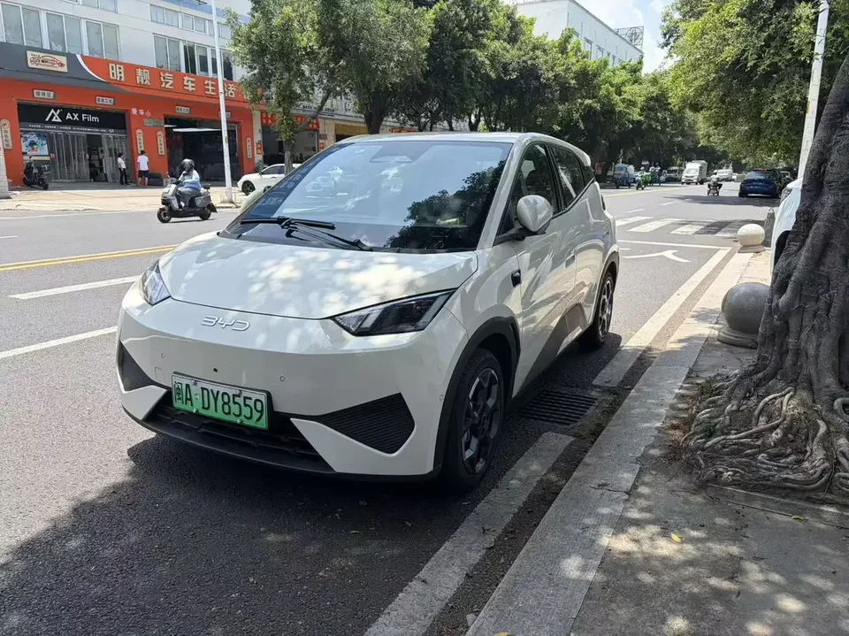 BYD Seagull seagull 2025 Smart Driving Edition 405KM Flying Edition 2025 — photo 1, buy with delivery to Moscow