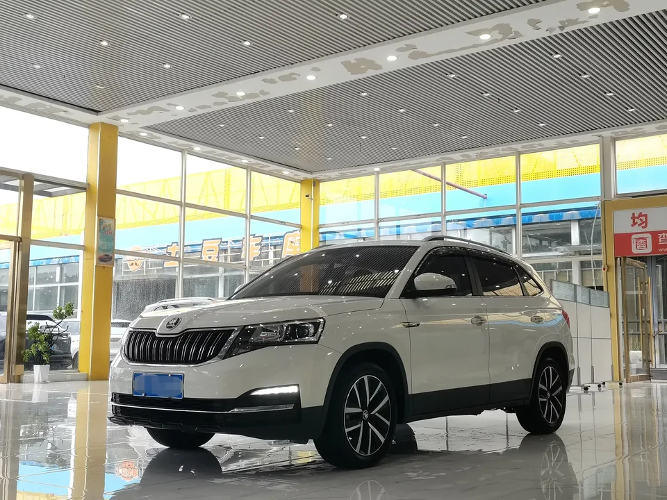 Skoda Comek Comek 2022 1.5L Automatic Comfort Edition 2022 — фото 1, купить с доставкой в Москву