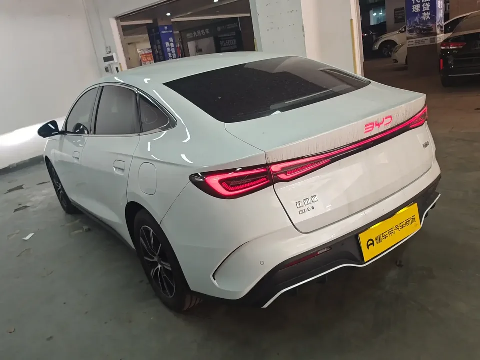 BYD Seal 06DM Seal 06DM 2024 DM-i 80KM Premium 2024 — миниатюра 4