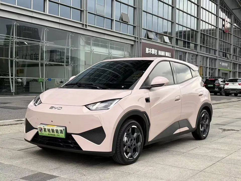 BYD Seagull seagull 2025 Smart Driving Edition 405KM Flying Edition 2025 — photo 1, buy with delivery to Moscow
