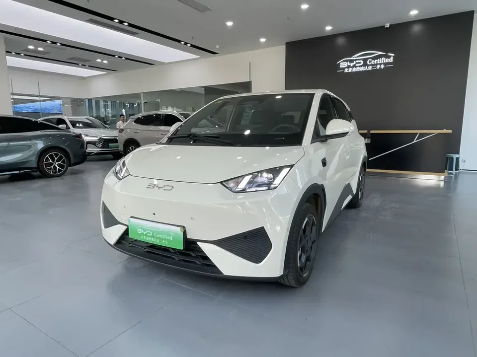 BYD Seagull seagull 2025 Smart Driving Edition 305KM Free Edition 2025 — photo 1, buy with delivery to Moscow