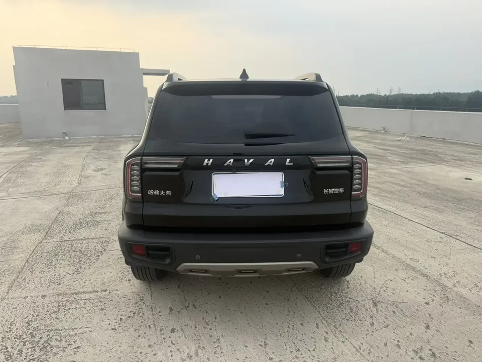 Haval Dargo Harvard dog 2021 1.5T 2WD Border Collie Edition 2022 — thumbnail 2