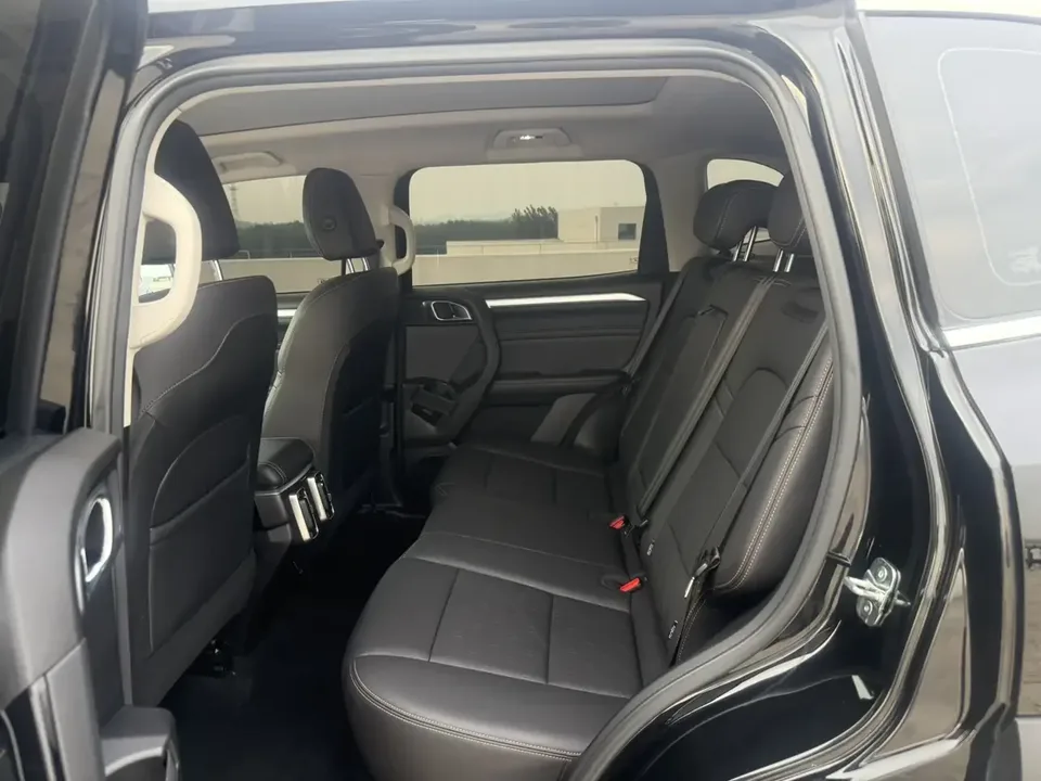 Haval Dargo Harvard dog 2021 1.5T 2WD Border Collie Edition 2022 — thumbnail 3