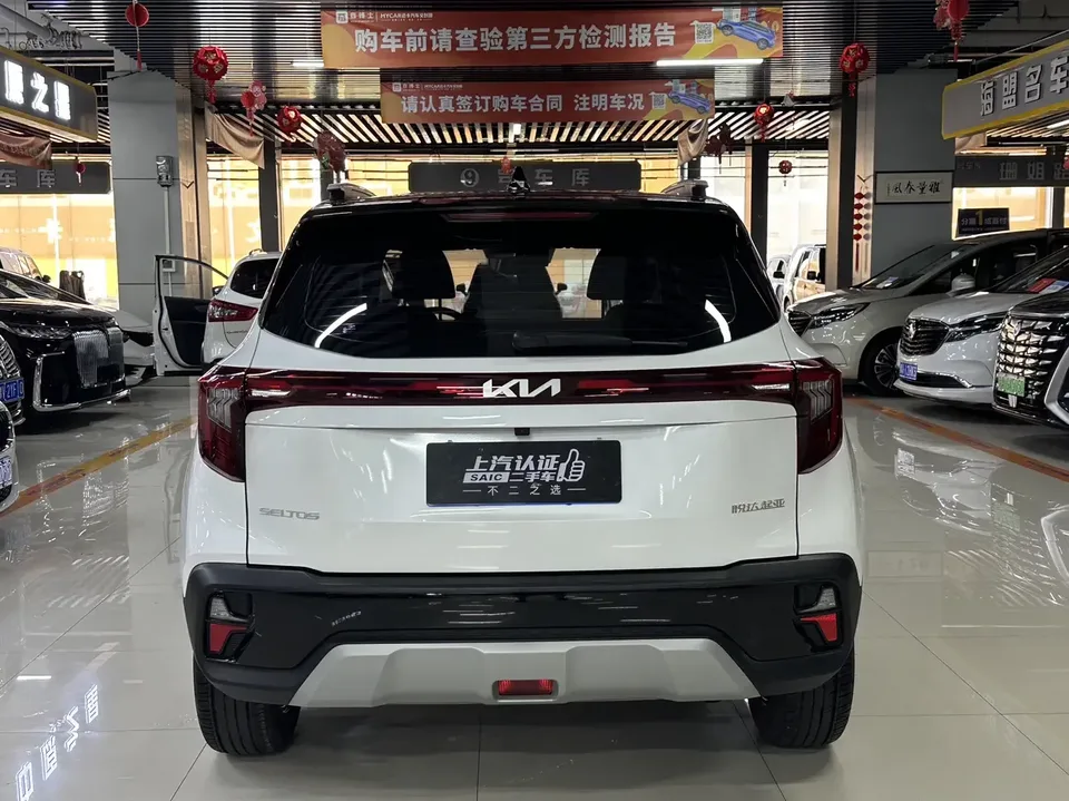Kia Seltos Sethus 2023 1.5L IVT Deluxe Edition 2024 — миниатюра 4