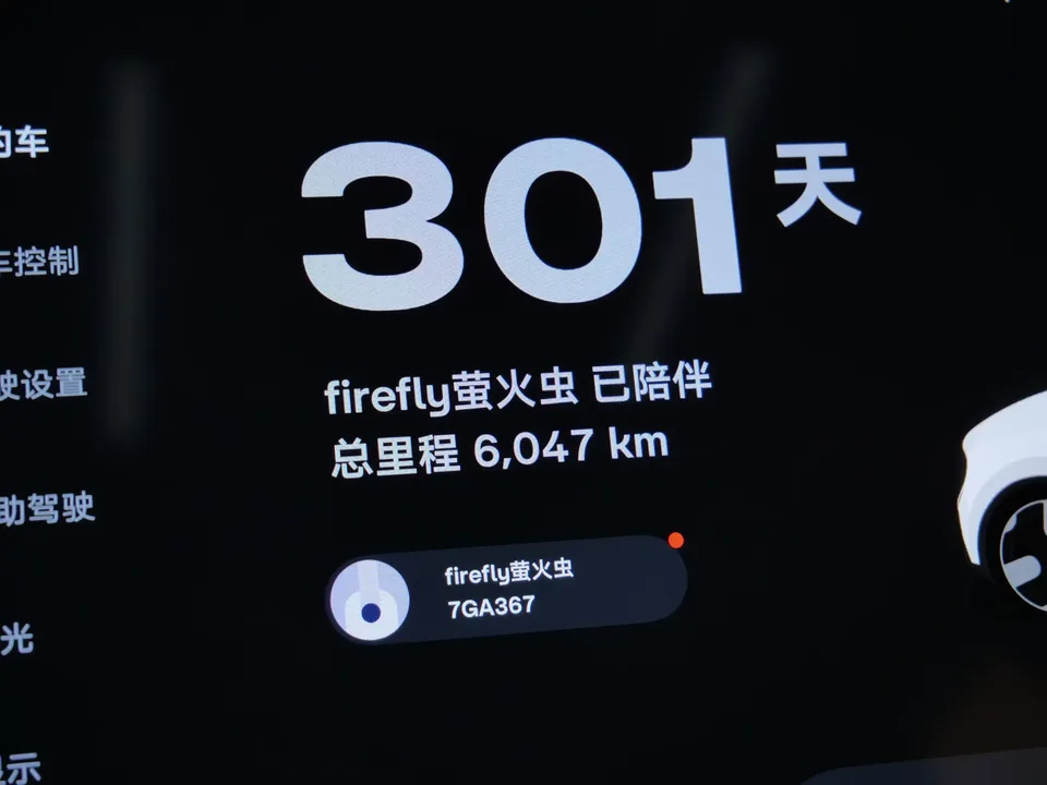 Firefly firefly firefly 2025 Luminous version 2025 — миниатюра 4
