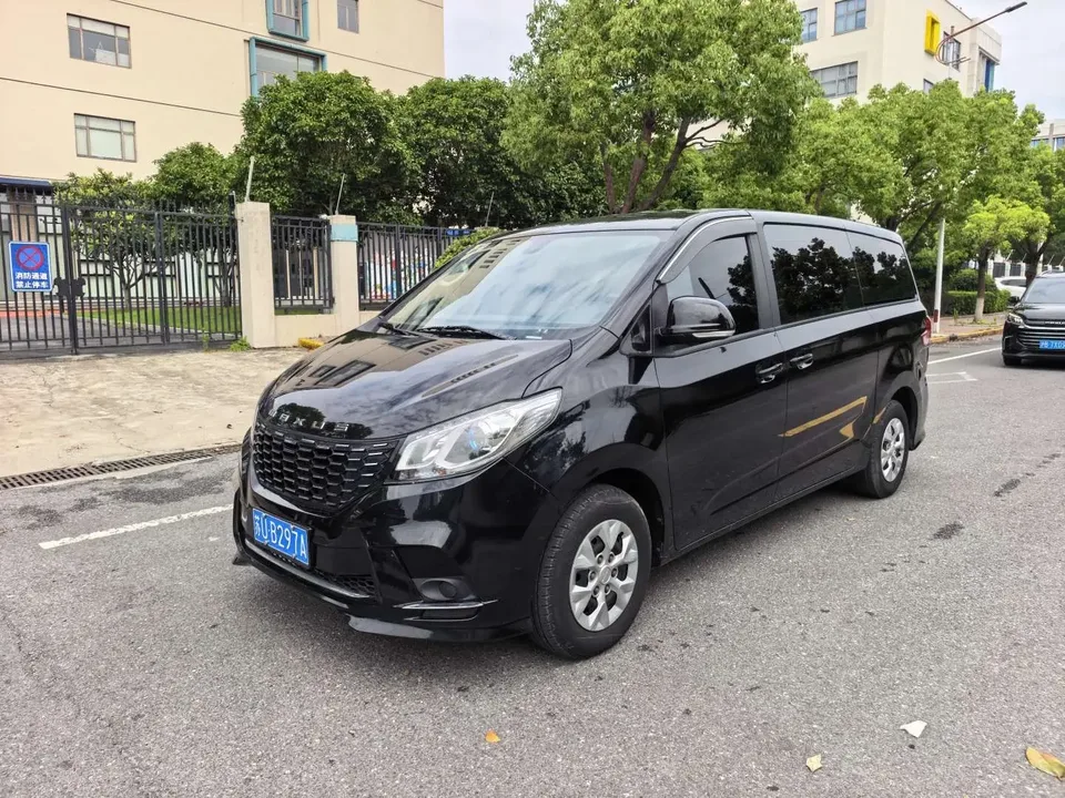 Datong Maxus G10 Maxus G10 2023 Modified 2.0L gasoline manual multi-function version 7 seats 2024 — photo 1, buy with delivery to Moscow
