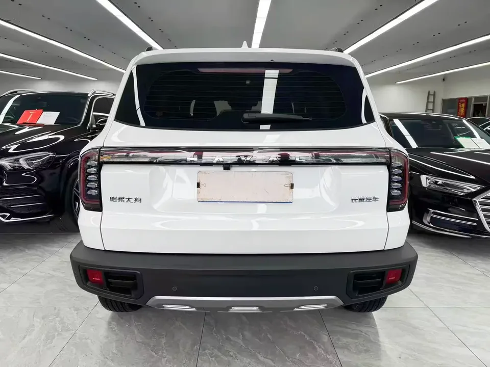 Haval Dargo Harvard dog 2024 1.5T 2WD Border Collie Edition 2025 — миниатюра 2