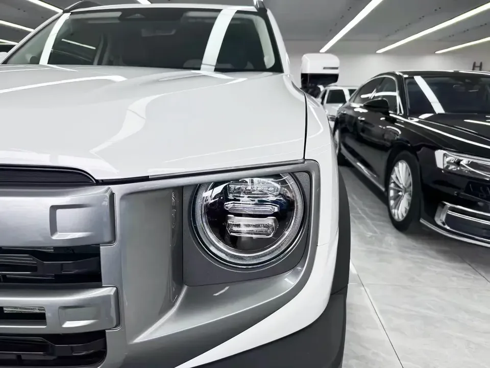 Haval Dargo Harvard dog 2024 1.5T 2WD Border Collie Edition 2025 — миниатюра 3