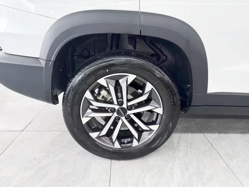 Haval Dargo Harvard dog 2024 1.5T 2WD Border Collie Edition 2025 — миниатюра 4
