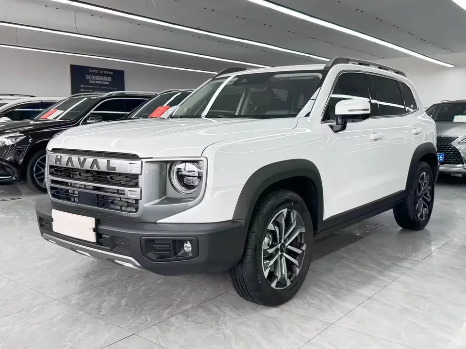 Haval Dargo Harvard dog 2024 1.5T 2WD Border Collie Edition 2025 — фото 1, купить с доставкой в Москву