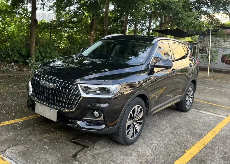 Haval H6 Haval H6 2023 National Trend Edition 1.5T Automatic Champion Edition 2023 — photo 1, buy with delivery to Moscow