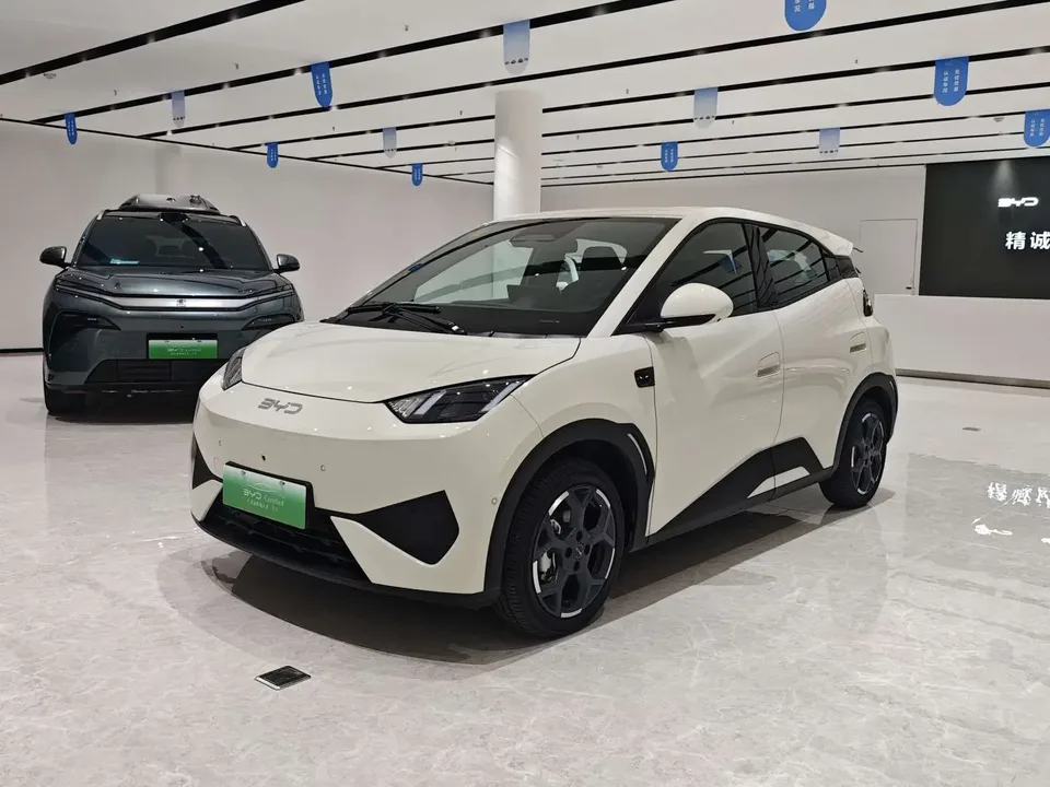 BYD Seagull seagull 2025 305KM Vitality Edition 2025 — photo 1, buy with delivery to Moscow