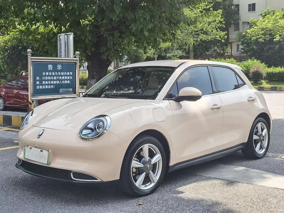 ORA Euler good cat Euler good cat 2023 401km standard endurance luxury lithium iron phosphate 2024 — photo 1, buy with delivery to Moscow