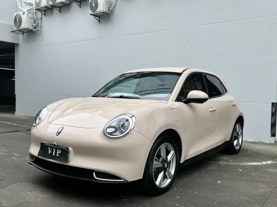 ORA Euler good cat Euler good cat 2022 Morandi version 400km standard endurance luxury ternary lithium 2023 — photo 1, buy with delivery to Moscow