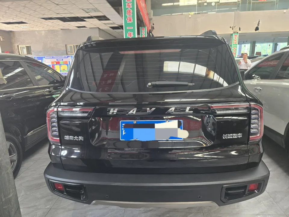Haval Dargo Harvard dog 2021 1.5T 2WD Border Collie Edition 2022 — миниатюра 2