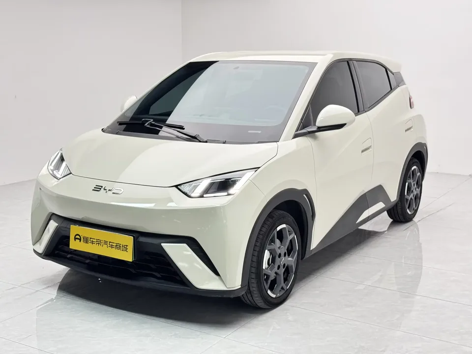 BYD Seagull seagull 2025 405KM Flying Edition 2025 — photo 1, buy with delivery to Moscow