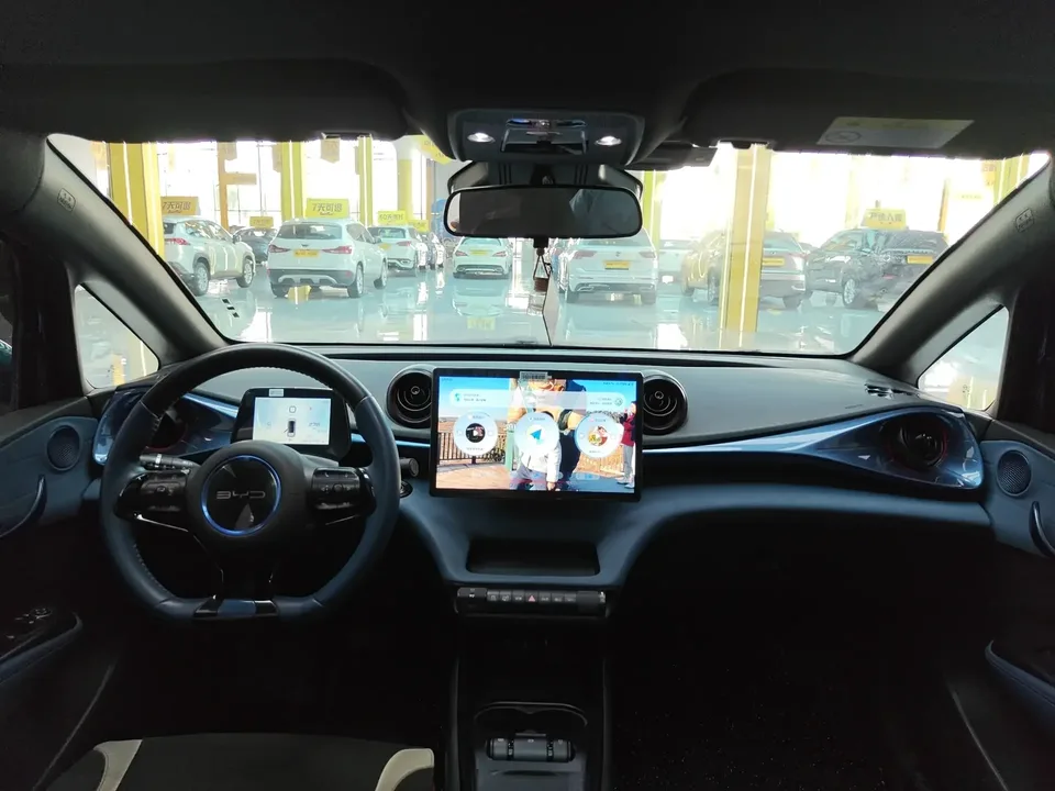 BYD Dolphin dolphin 2021 Knight Edition 2022 — thumbnail 2