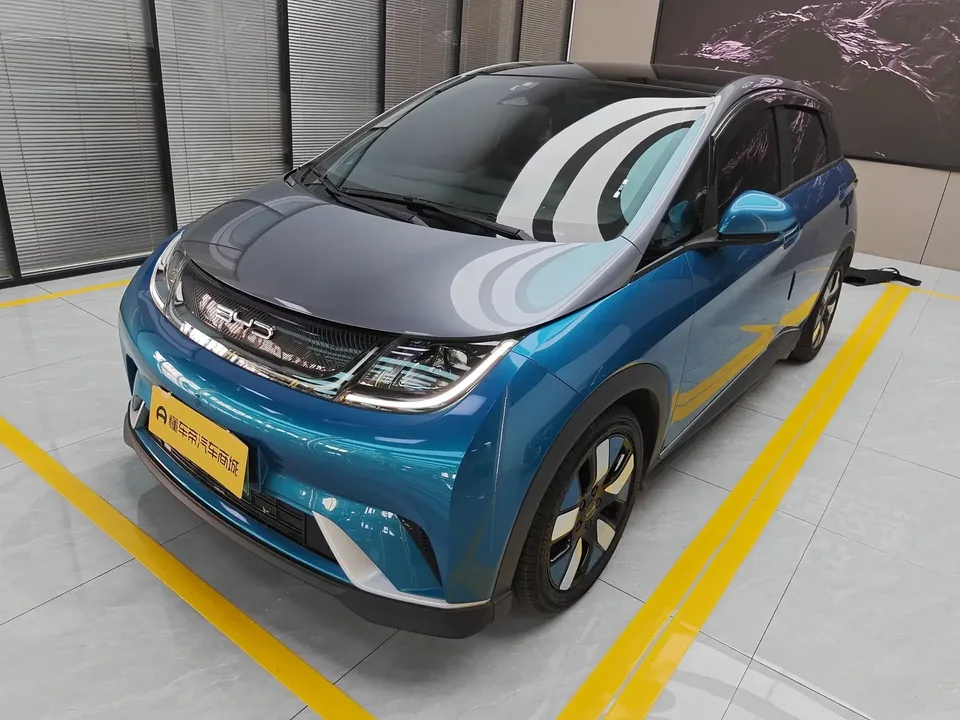 BYD Dolphin dolphin 2021 Knight Edition 2022 — photo 1, buy with delivery to Moscow