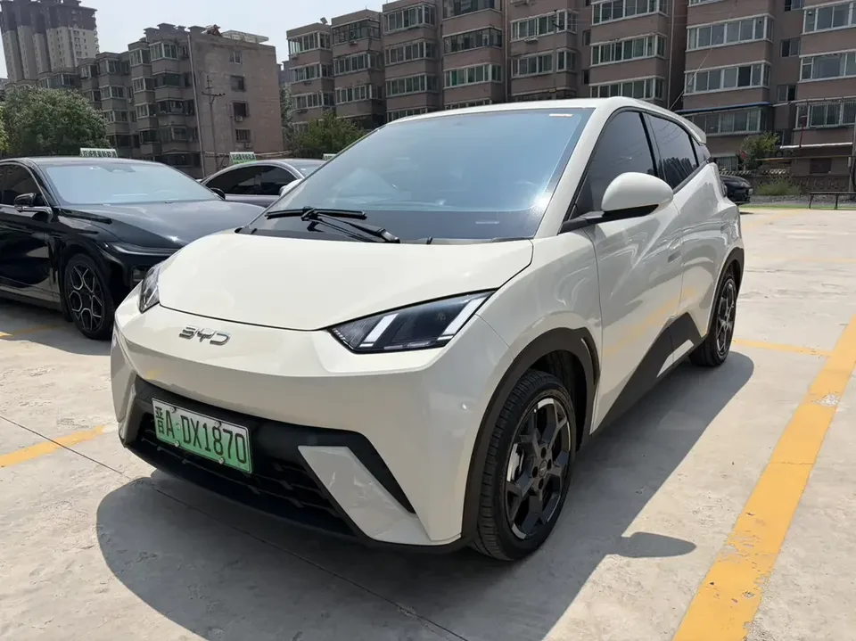 BYD Seagull seagull 2024 Honor Edition 405KM Flying Edition 2024 — photo 1, buy with delivery to Moscow