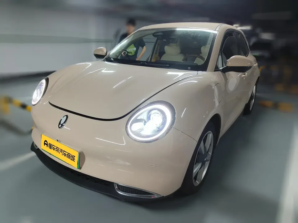 ORA Euler good cat Euler good cat 2023 401km standard endurance luxury lithium iron phosphate 2023 — photo 1, buy with delivery to Moscow