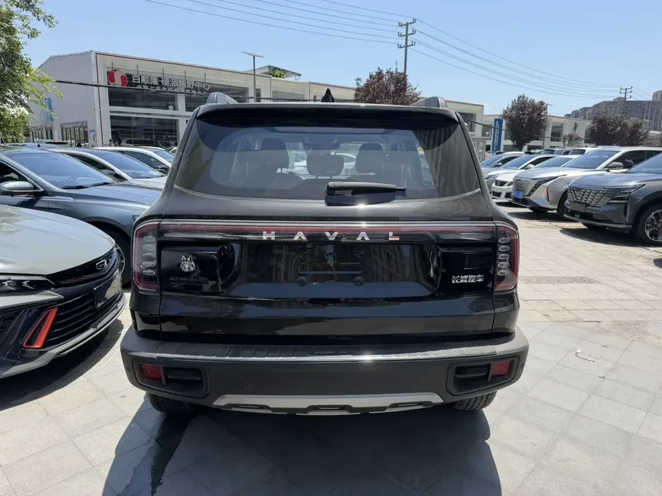 Haval Dargo Harvard dog 2024 1.5T 2WD Border Collie Edition 2023 — thumbnail 2