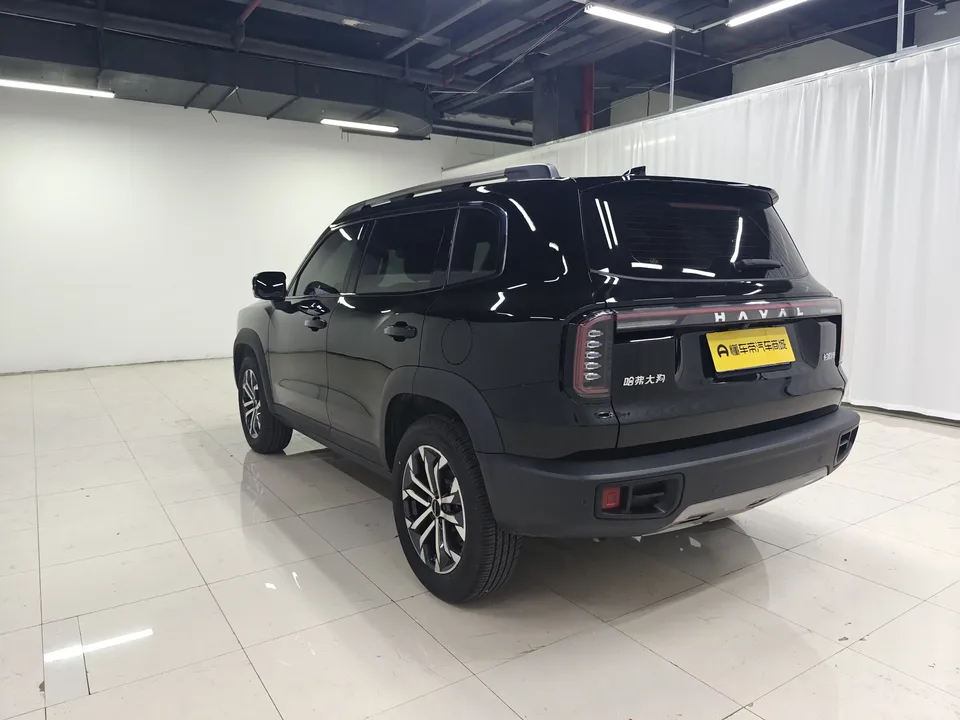 Haval Dargo Harvard dog 2024 1.5T 2WD Border Collie Edition 2024 — thumbnail 2