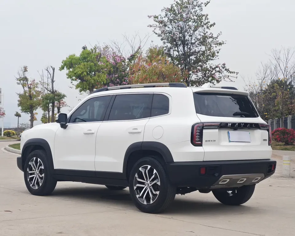 Haval Dargo Harvard dog 2022 1.5T 2WD Border Collie Edition 2023 — thumbnail 2