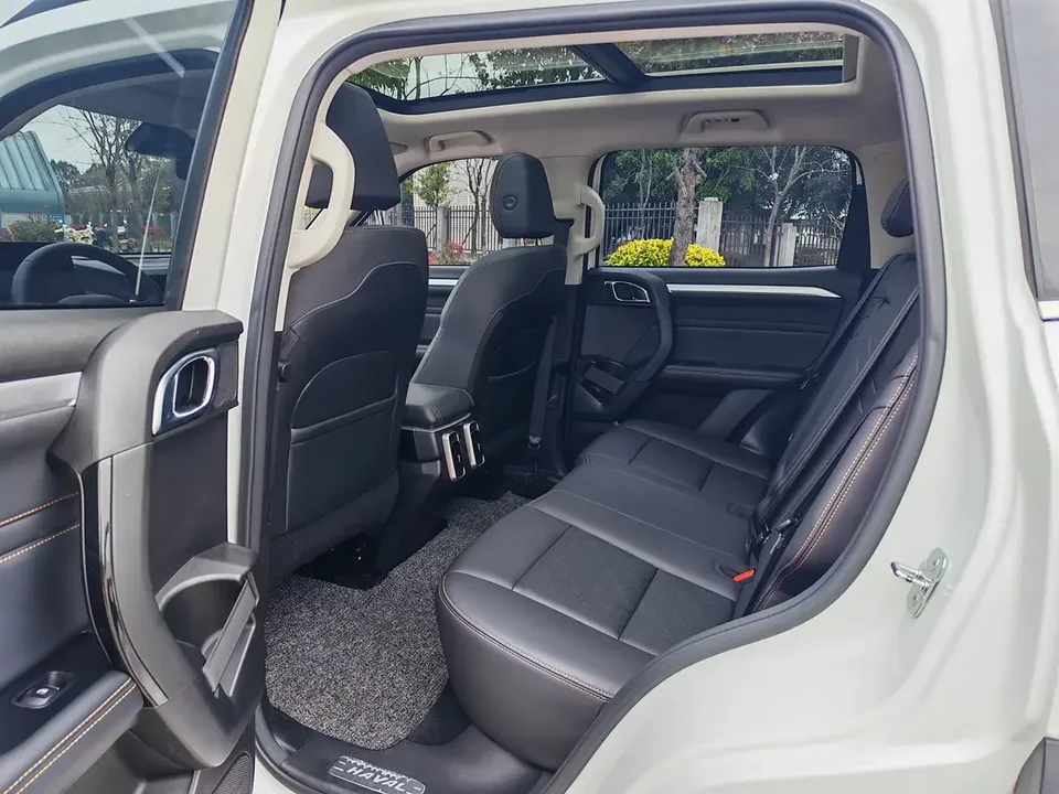 Haval Dargo Harvard dog 2022 1.5T 2WD Border Collie Edition 2023 — thumbnail 5