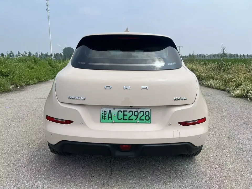 ORA Euler good cat Euler good cat 2023 401km standard endurance premium lithium iron phosphate 2023 — thumbnail 2
