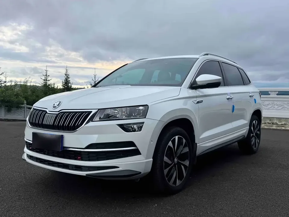 Skoda Karoq Korok 2023 TSI280 Smart Edition 2023 — photo 1, buy with delivery to Moscow