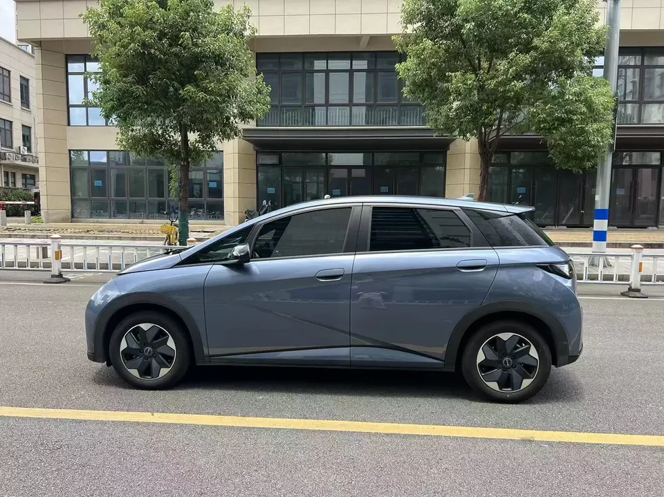 BYD Dolphin dolphin 2025 420KM Free Edition 2026 — thumbnail 4