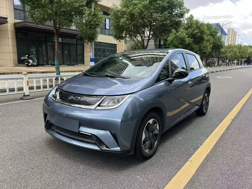 BYD Dolphin dolphin 2025 420KM Free Edition 2026 — photo 1, buy with delivery to Moscow