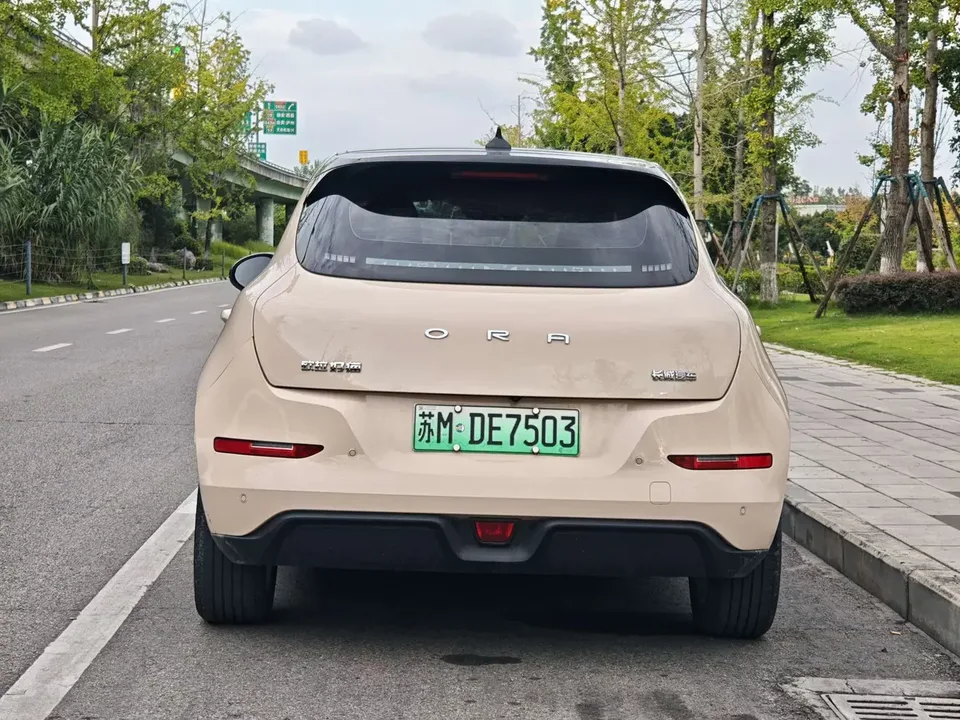 ORA Euler good cat Euler good cat 2023 401km standard endurance premium lithium iron phosphate 2023 — thumbnail 2