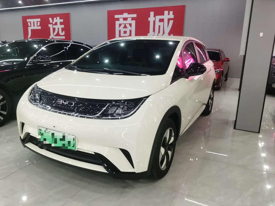BYD Dolphin dolphin 2025 420KM Free Edition 2026 — photo 1, buy with delivery to Moscow