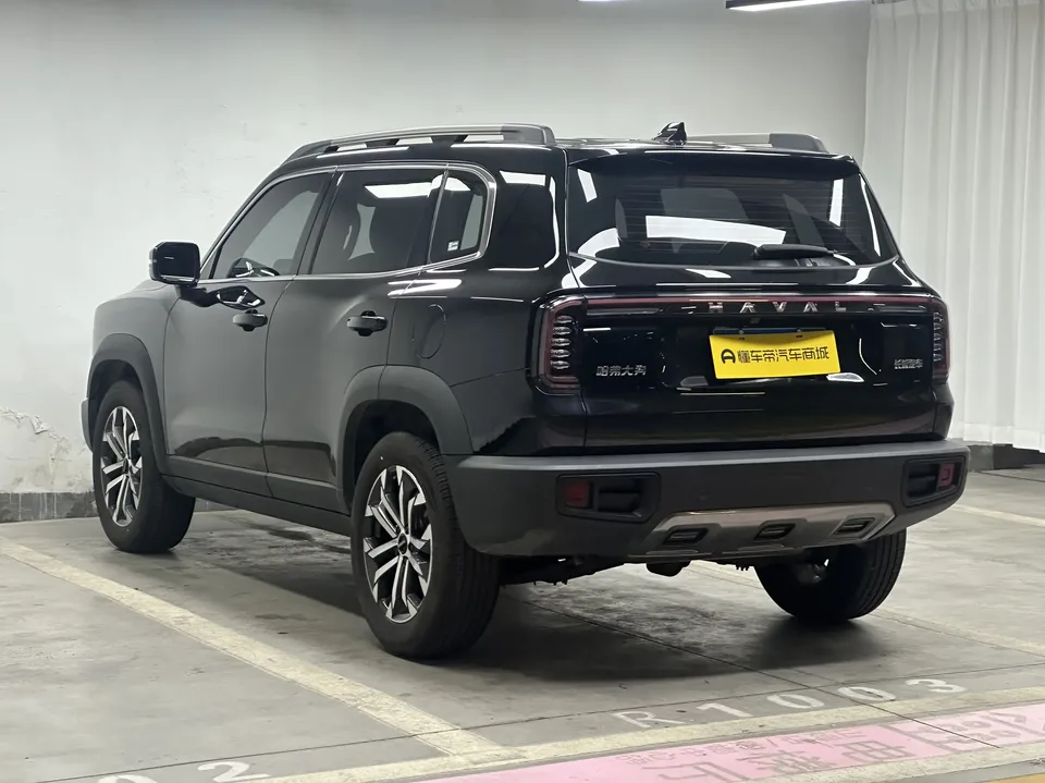 Haval Dargo Harvard dog 2024 1.5T 2WD Border Collie Edition 2025 — thumbnail 2