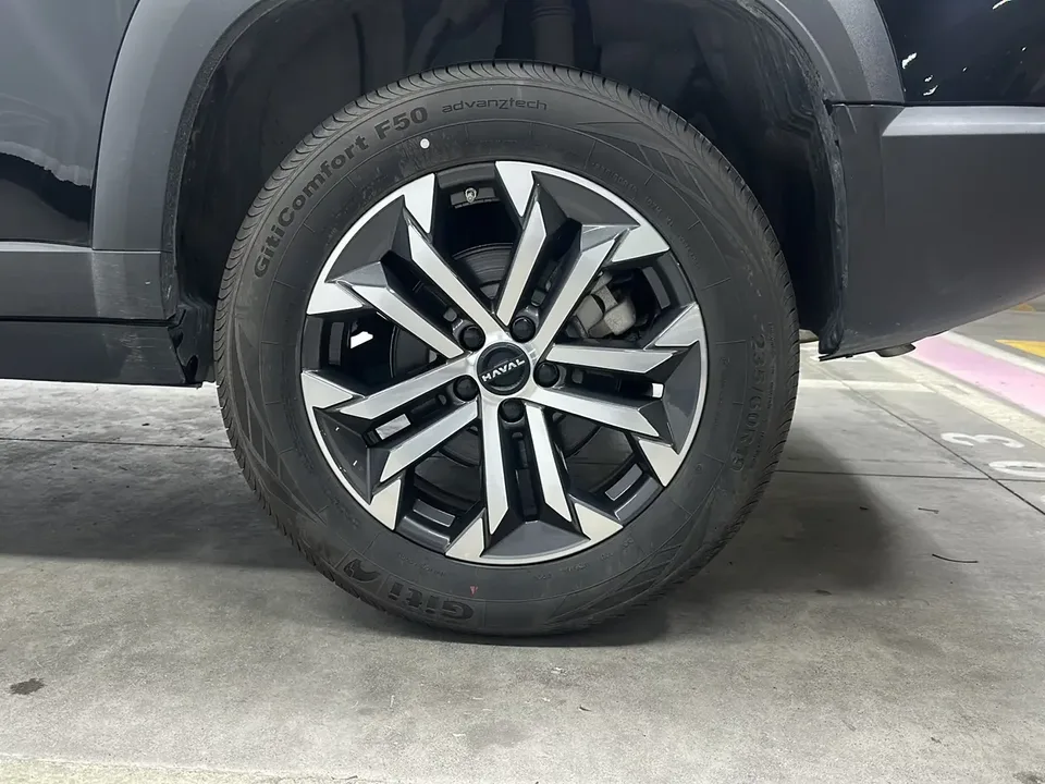 Haval Dargo Harvard dog 2024 1.5T 2WD Border Collie Edition 2025 — thumbnail 3