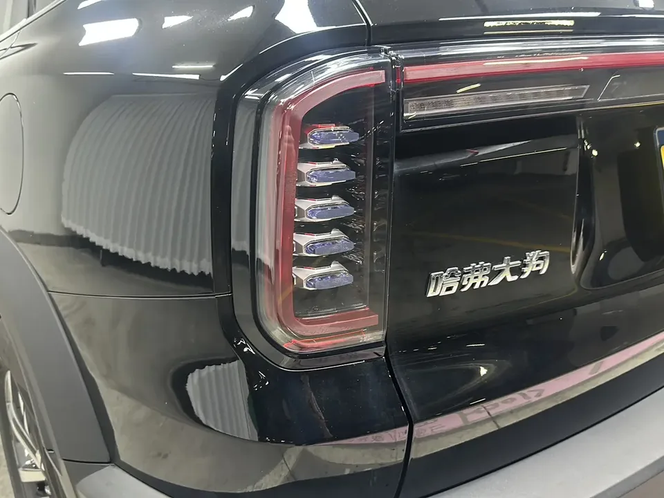 Haval Dargo Harvard dog 2024 1.5T 2WD Border Collie Edition 2025 — thumbnail 4