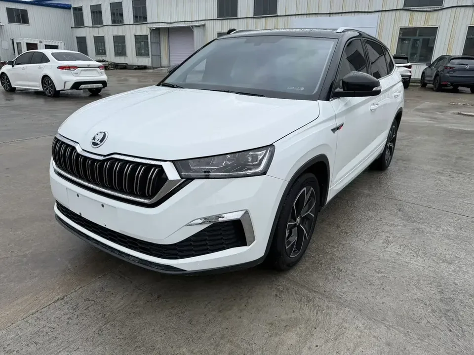 Skoda Kamiq Komic GT 2023 Modified 1.5L Automatic Premium Edition 2024 — photo 1, buy with delivery to Moscow