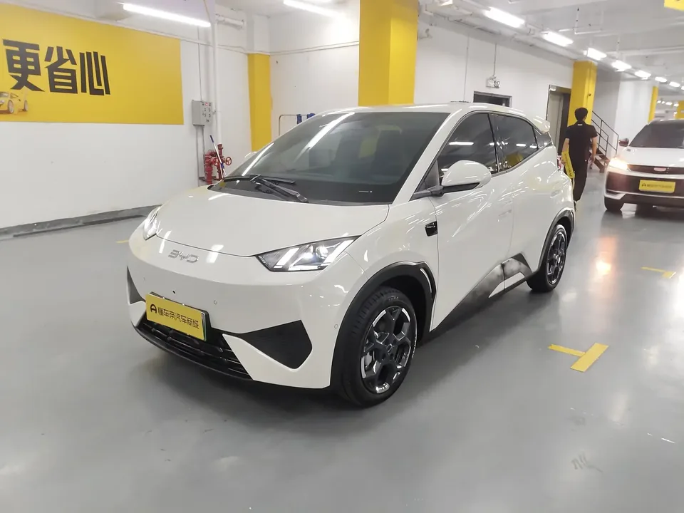 BYD Seagull seagull 2025 Smart Driving Edition 405KM Flying Edition 2025 — photo 1, buy with delivery to Moscow