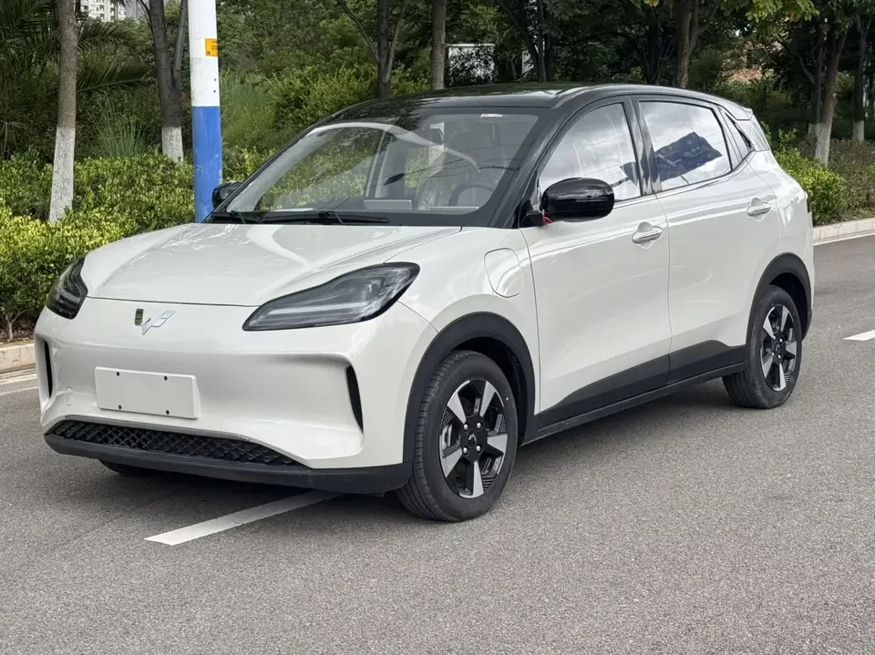 Wuling Bingo PLUS Wuling Bingo PLUS 2024 330km five-seater version 2026 — photo 1, buy with delivery to Moscow