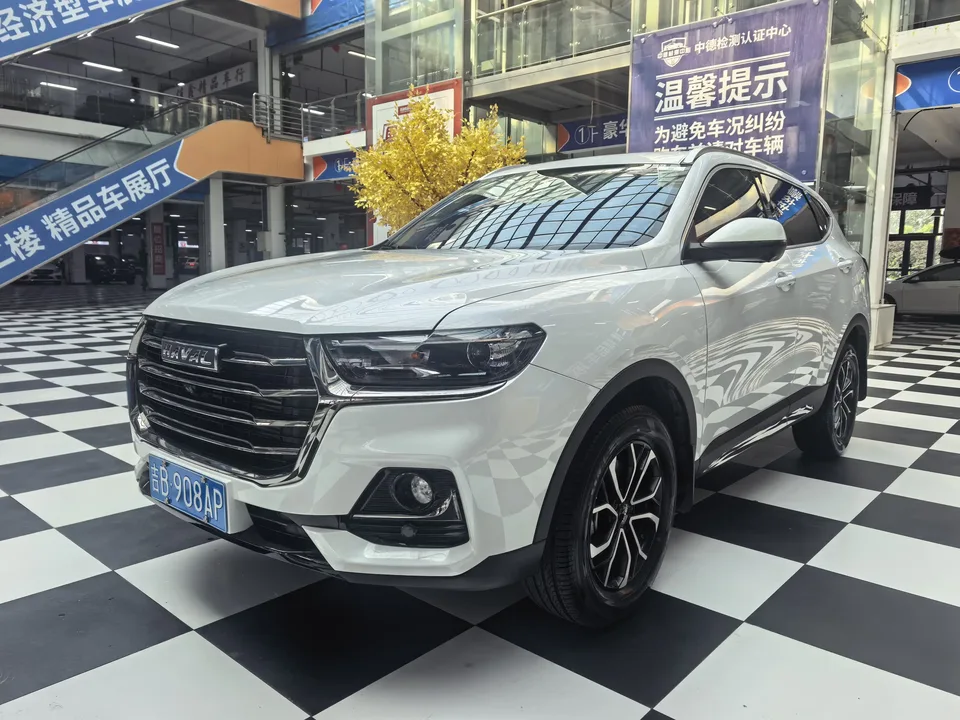 Haval H6 Haval H6 2023 National Trend Edition 1.5T Automatic City Edition 2023 — photo 1, buy with delivery to Moscow