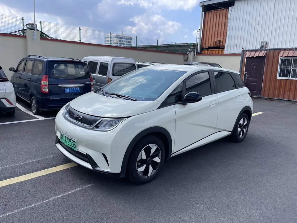 BYD Dolphin dolphin 2025 420KM Vitality Edition 2026 — photo 1, buy with delivery to Moscow