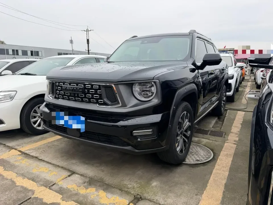 Haval H-Dog Haval Big Dog PLUS 2023 1.5T 2WD Trendy Wild Edition Plus 2024 — photo 1, buy with delivery to Moscow