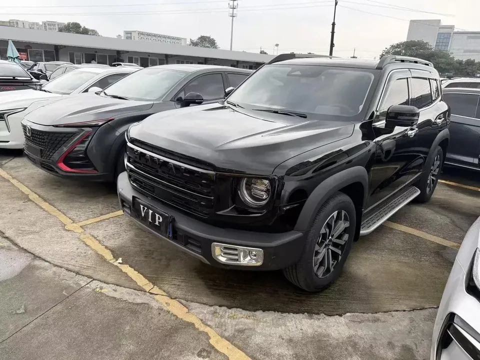 Haval Dargo Harvard dog 2024 1.5T 2WD Border Collie Edition 2024 — фото 1, купить с доставкой в Москву
