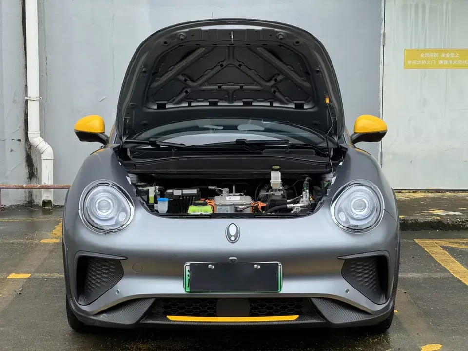 ORA Euler Good Cat GT Euler Good Cat GT 2024 Mulan Edition 401km Premium 126kW 2025 — thumbnail 5