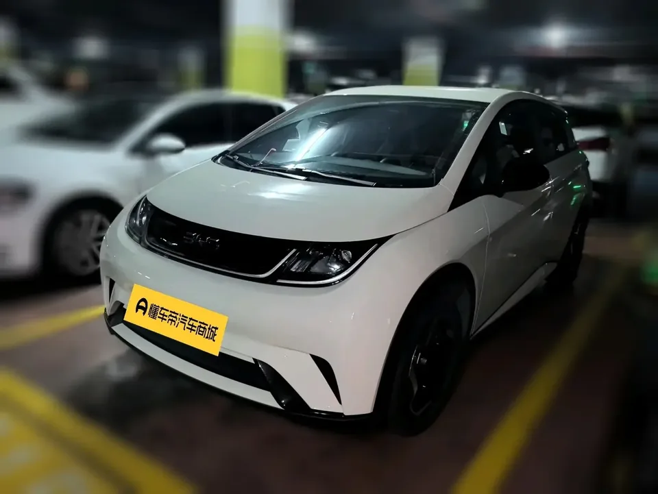 BYD Dolphin dolphin 2025 420KM Vitality Edition 2024 — photo 1, buy with delivery to Moscow