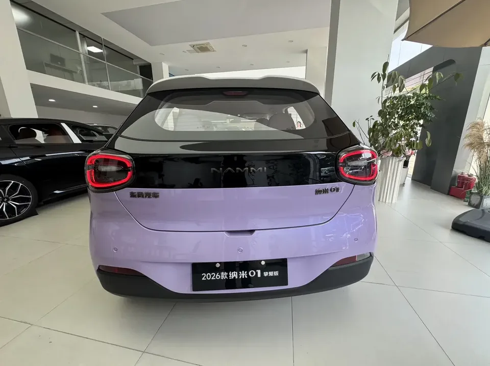 Dongfeng Nano 01 Nano 01 2024 430Air 2025 — thumbnail 2